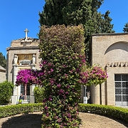 045 Naast het catacombe gebouw was een mooi kerkhof met als entree een kruis van bougainville